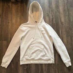 chiristian dior icon hoodie
